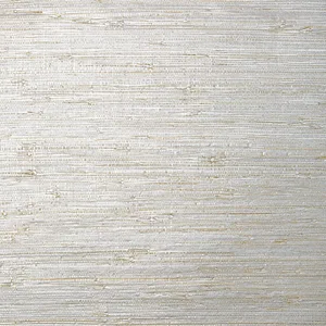 Thibaut Sutton in Metallic Silver (T24063)