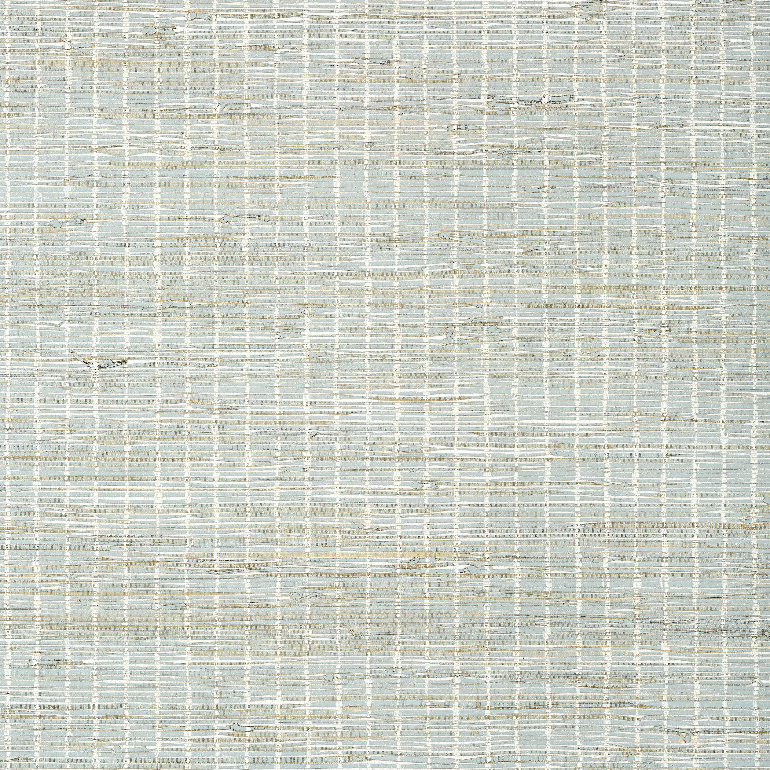 Thibaut Sutton Stripe in White on Robin's Egg (T24085)