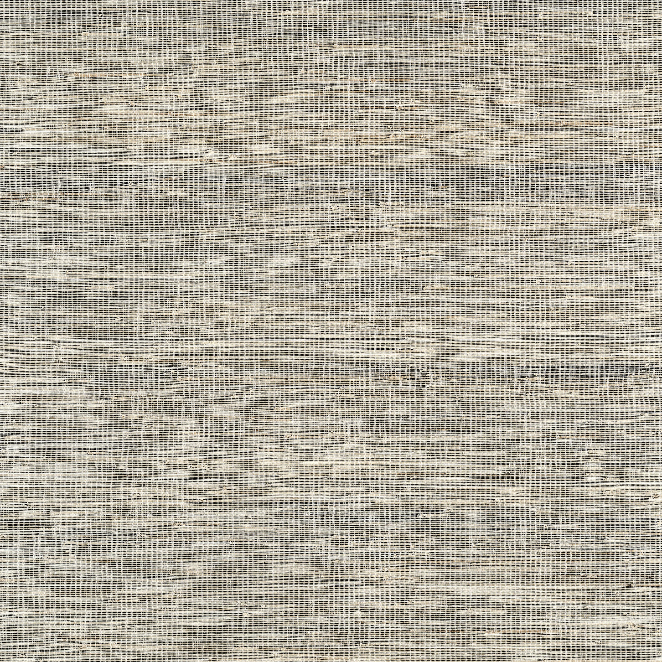 T19659 | Sydney – Black