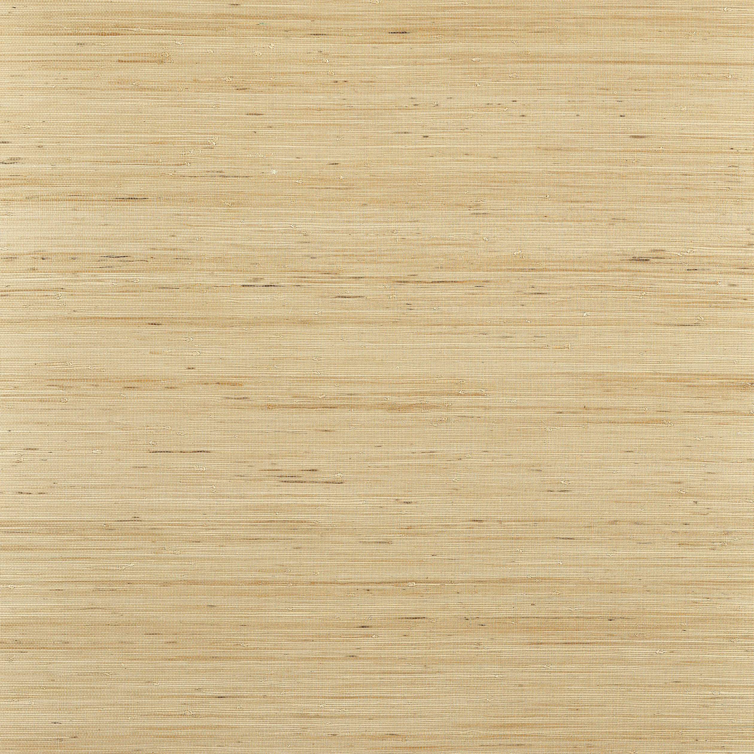T19654 | Sydney – Light Taupe