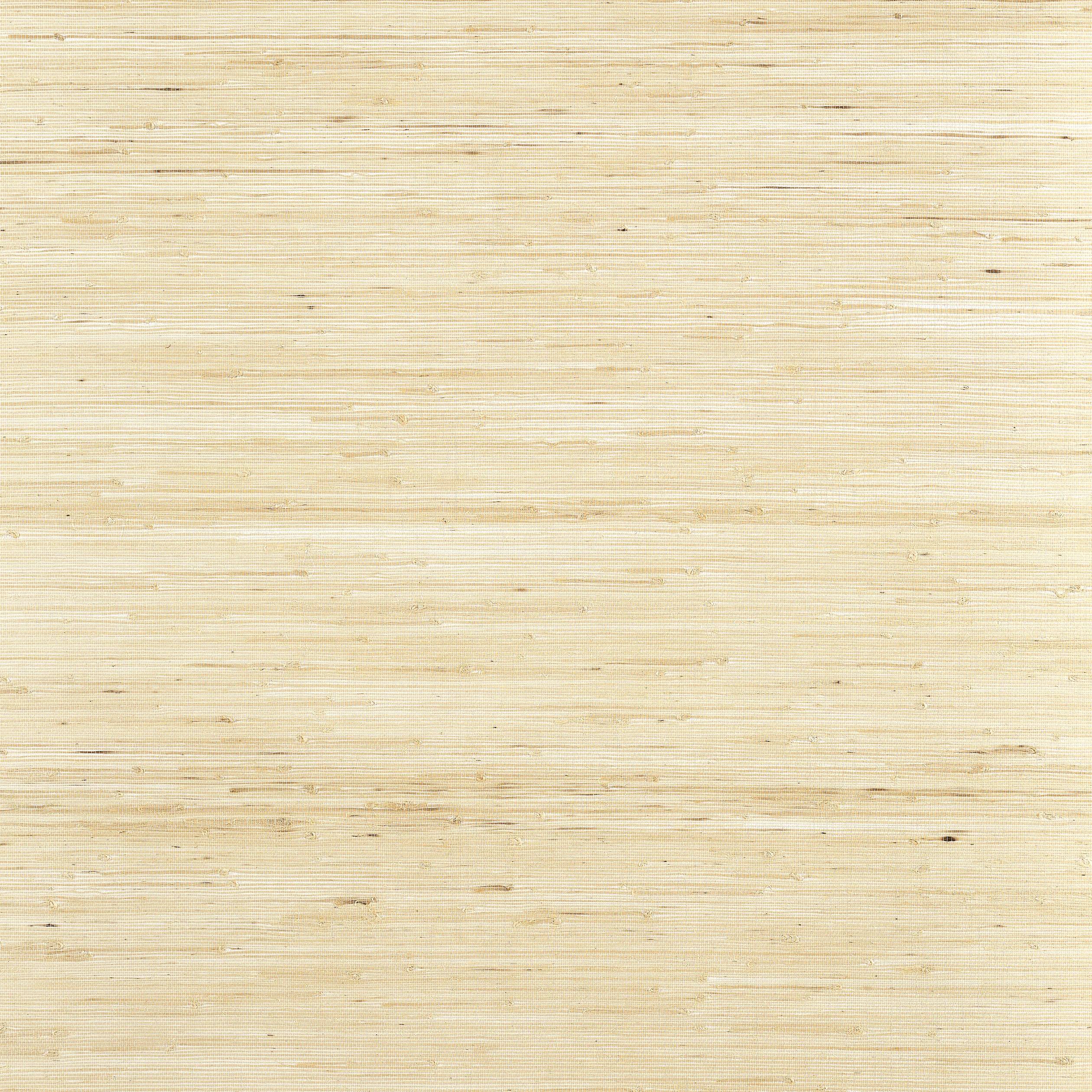 T19653 | Sydney – Paperwhite