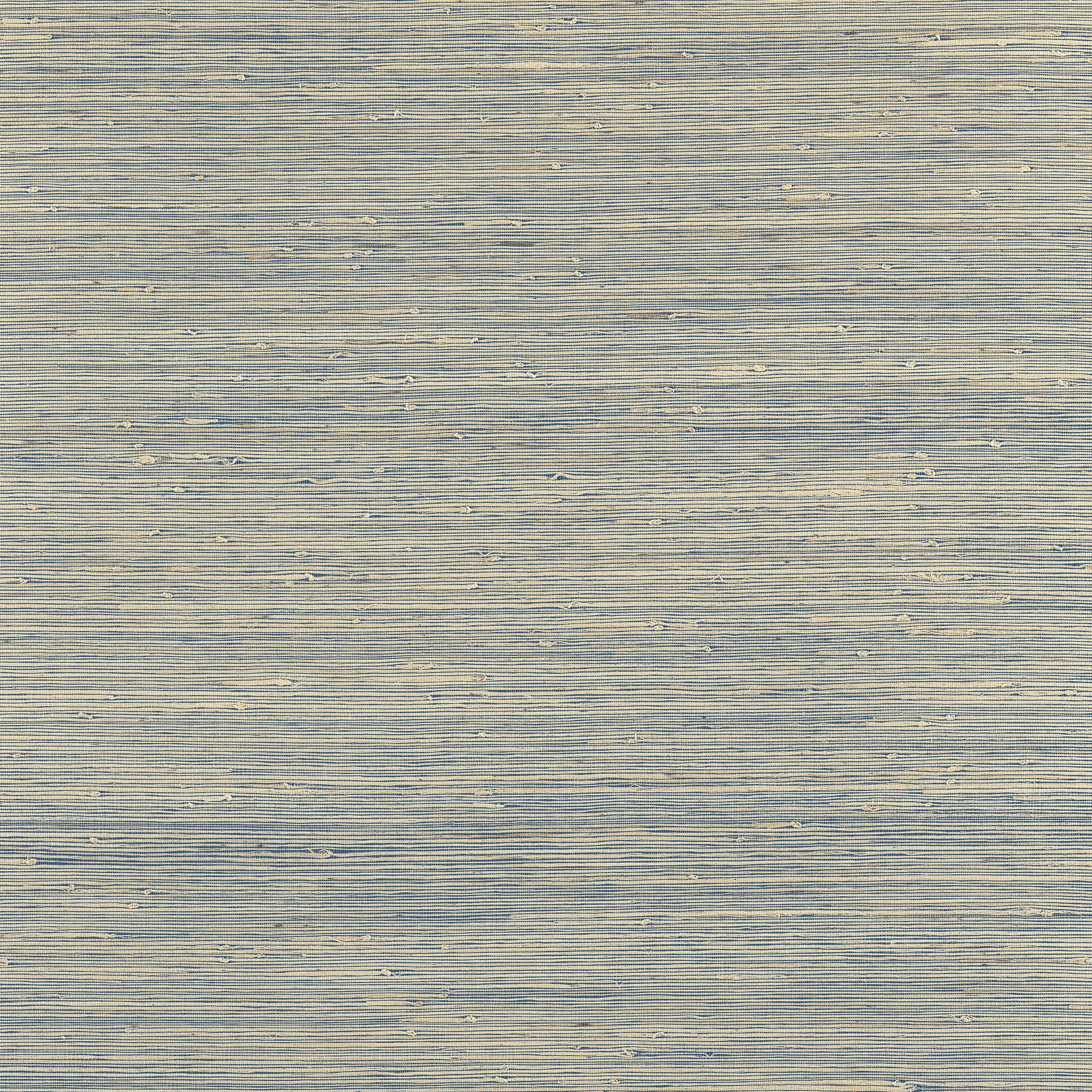 T19652 | Sydney – Royal Blue