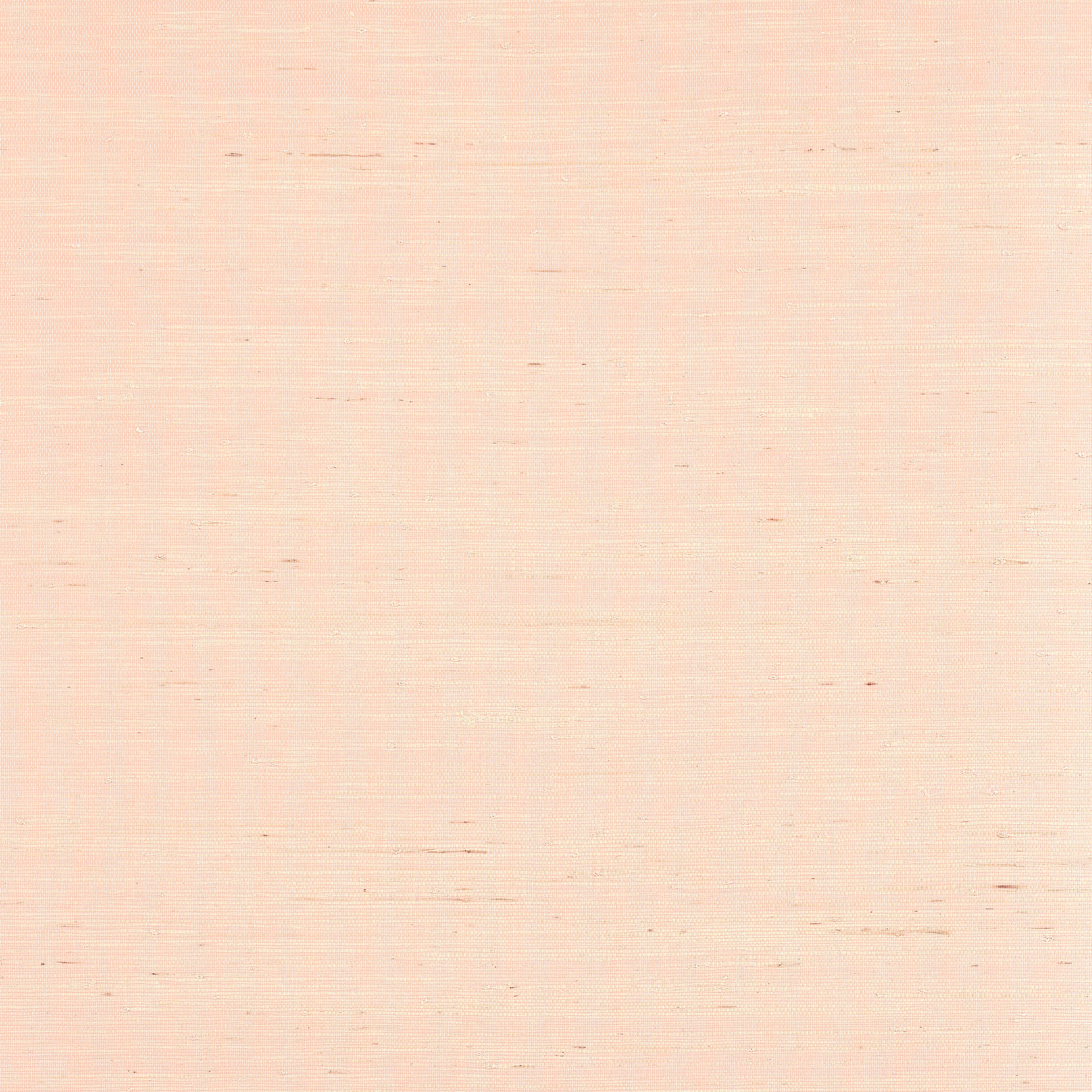 Thibaut Sydney in Seashell (T19655)