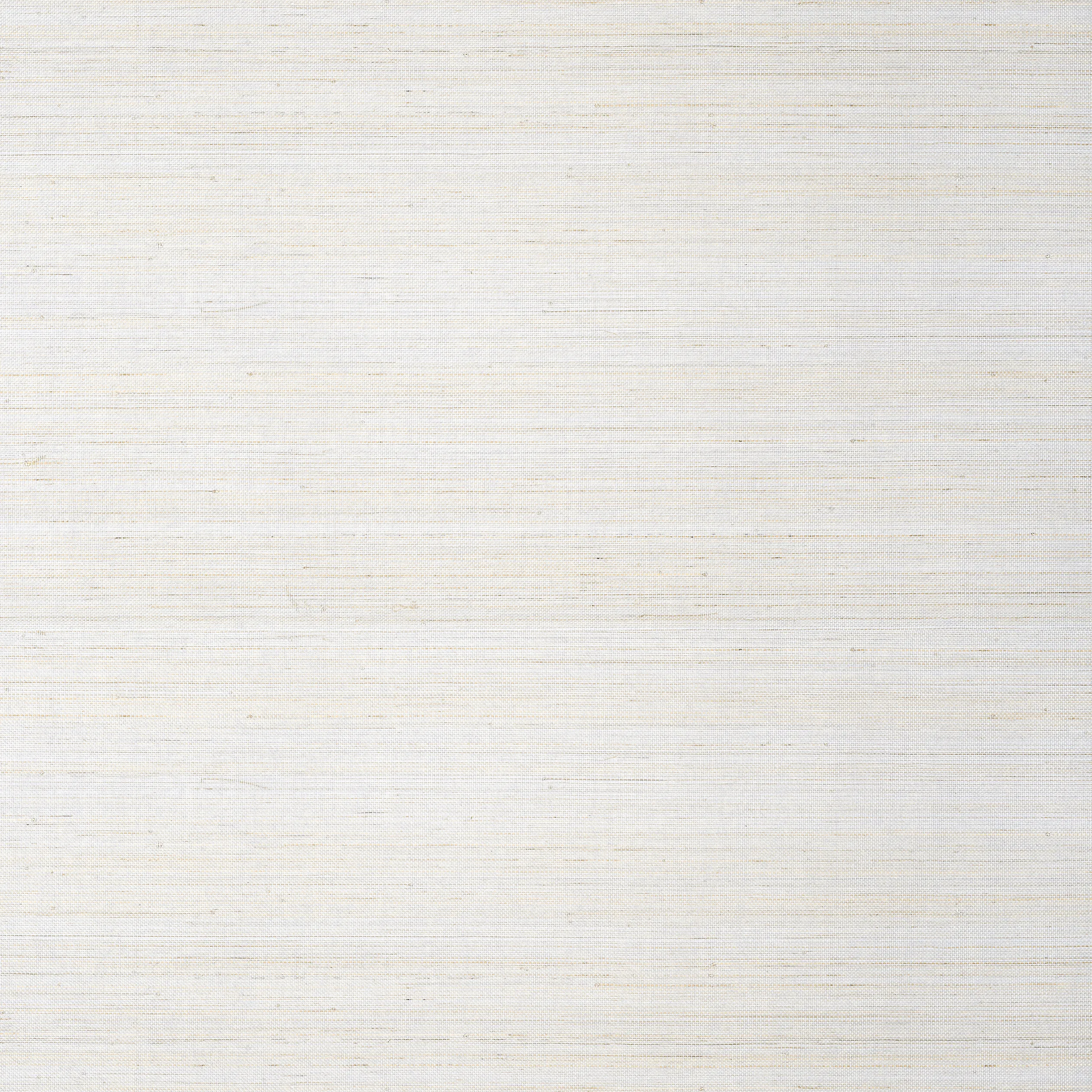 T24100 | Tabacon Abaca – Light Grey