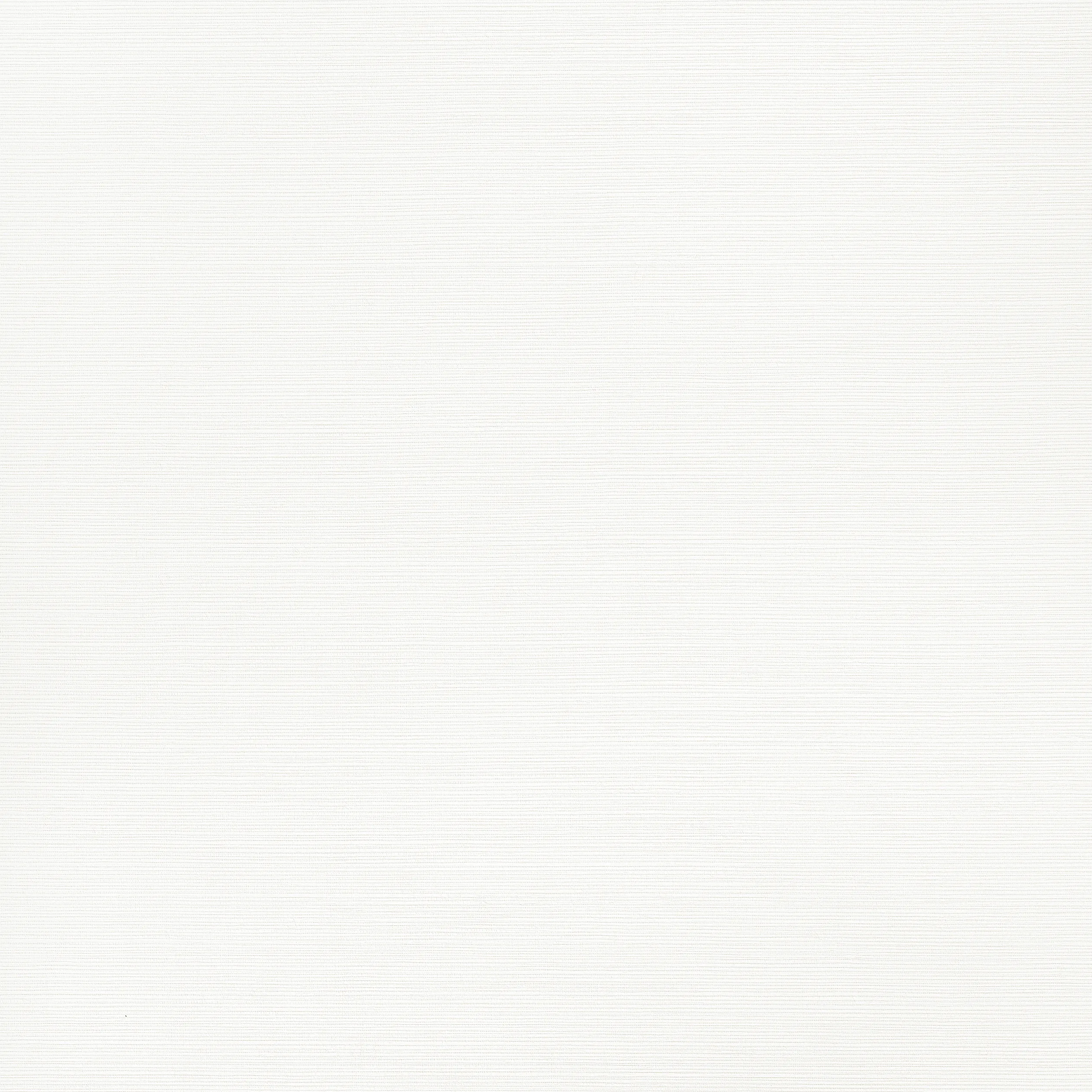 T34041 | Taluk Sisal – Bright White