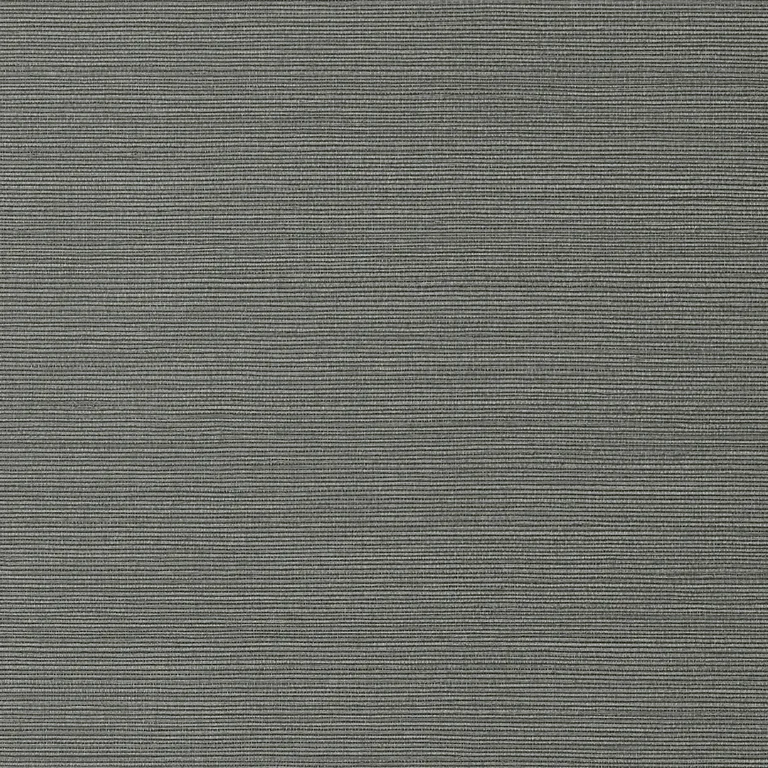 Thibaut Taluk Sisal in Charcoal (T75151)