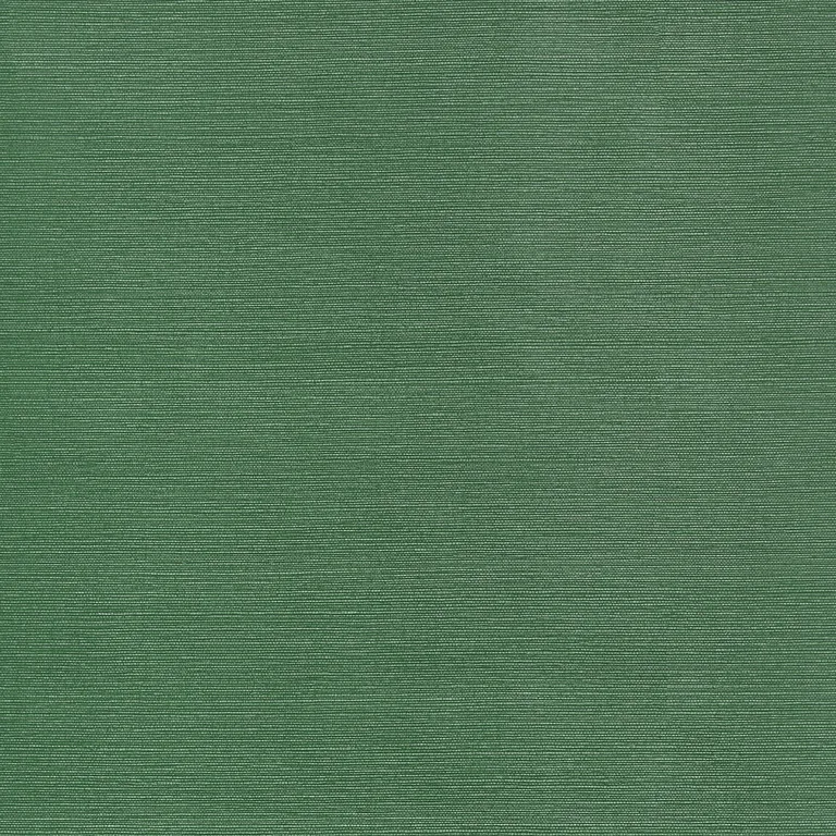Thibaut Taluk Sisal in Forest Green (T34039)