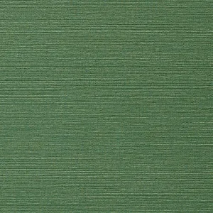 Thibaut Taluk Sisal in Green (T75154)
