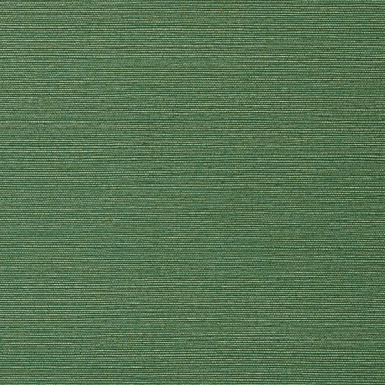 Thibaut Taluk Sisal in Green (T75154)