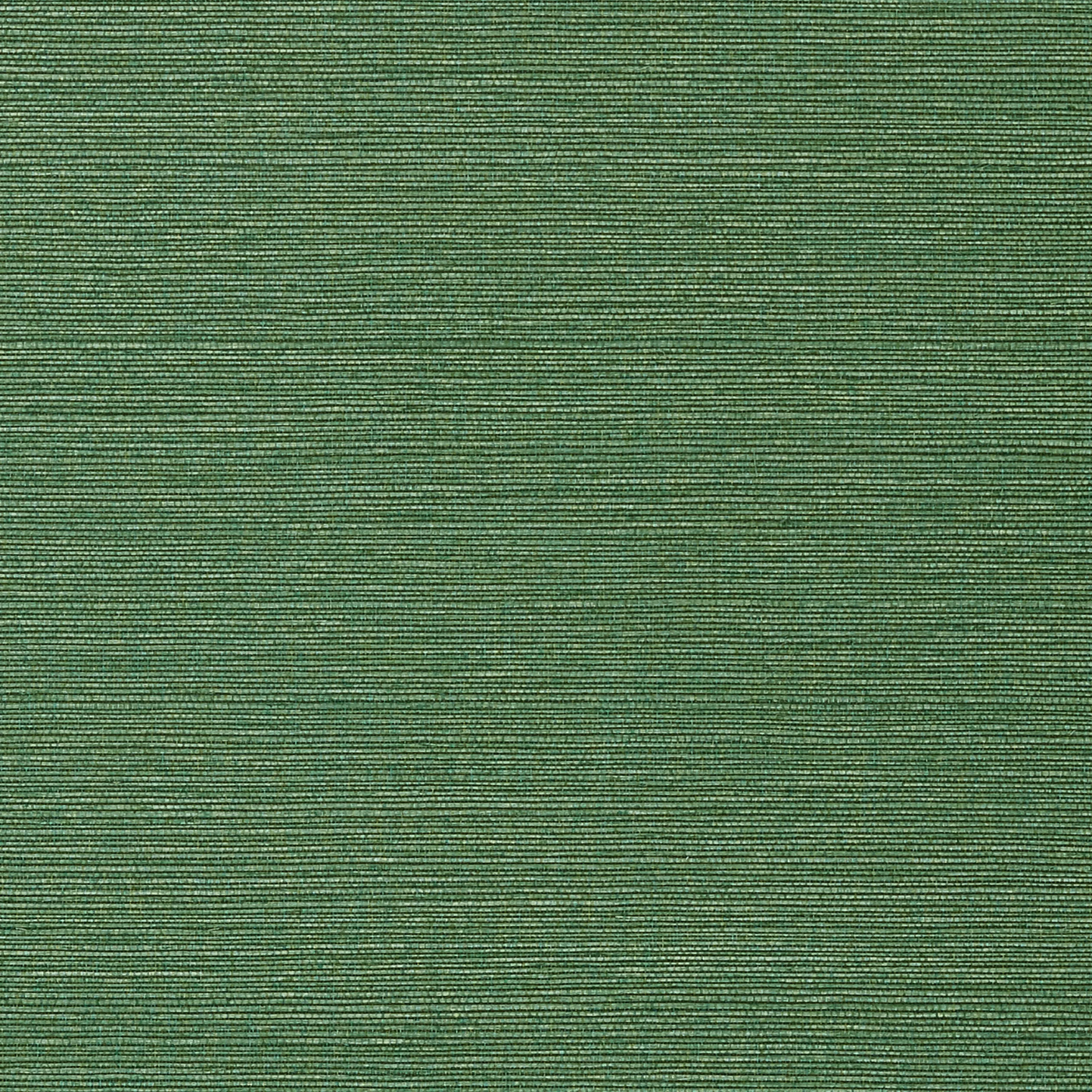 T75154 | Taluk Sisal – Green