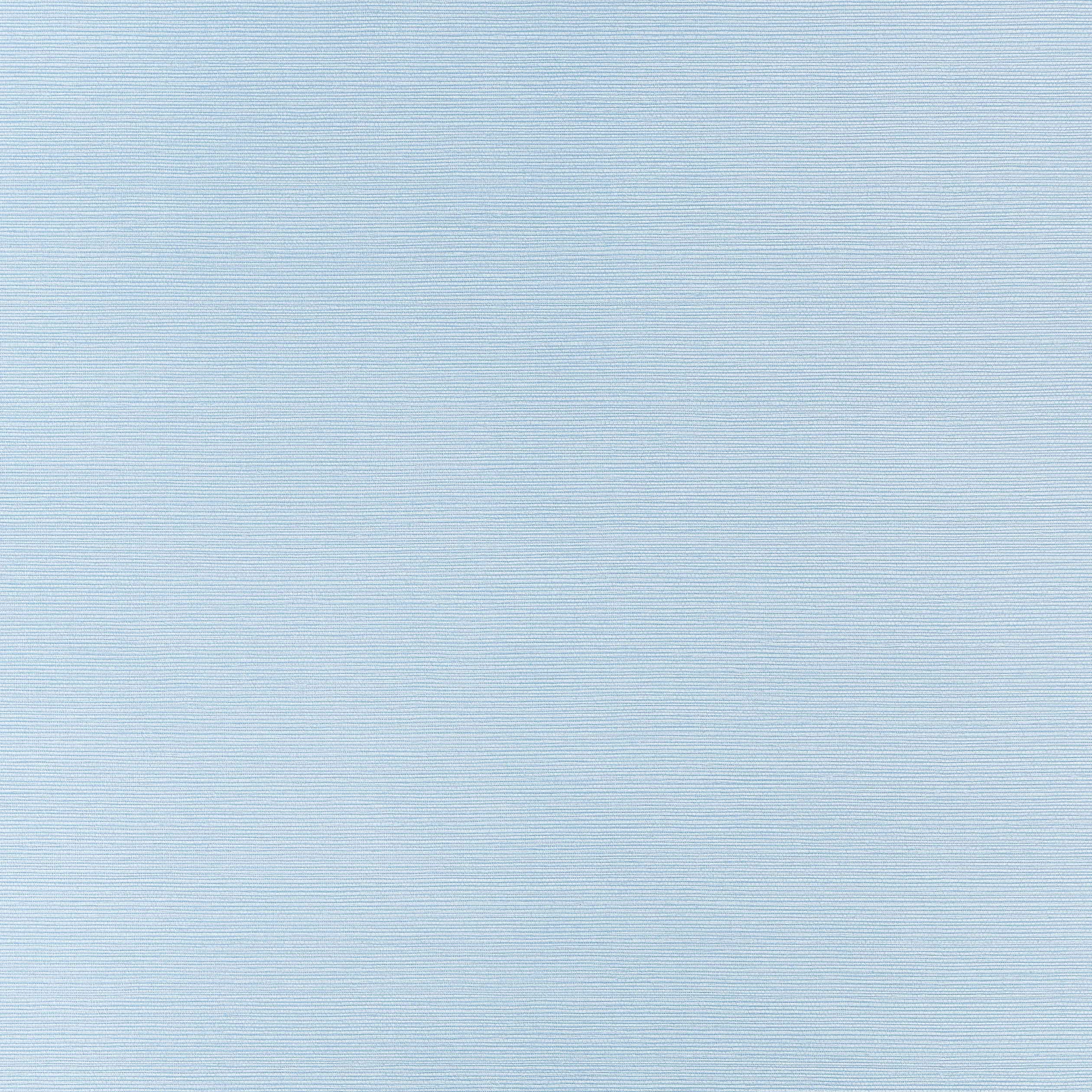 T34036 | Taluk Sisal – Sky Blue