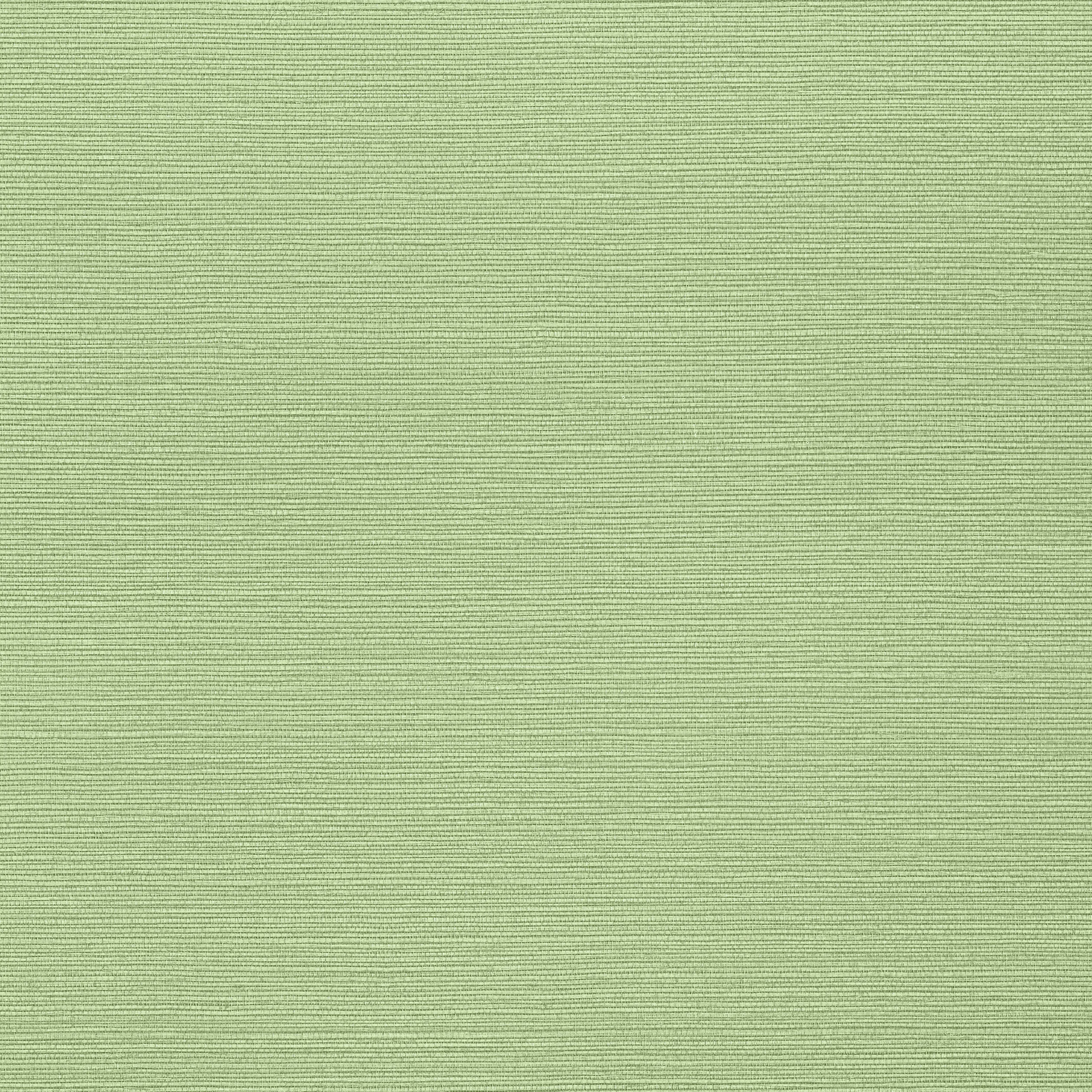 T287 | Taluk Sisal – Spring
