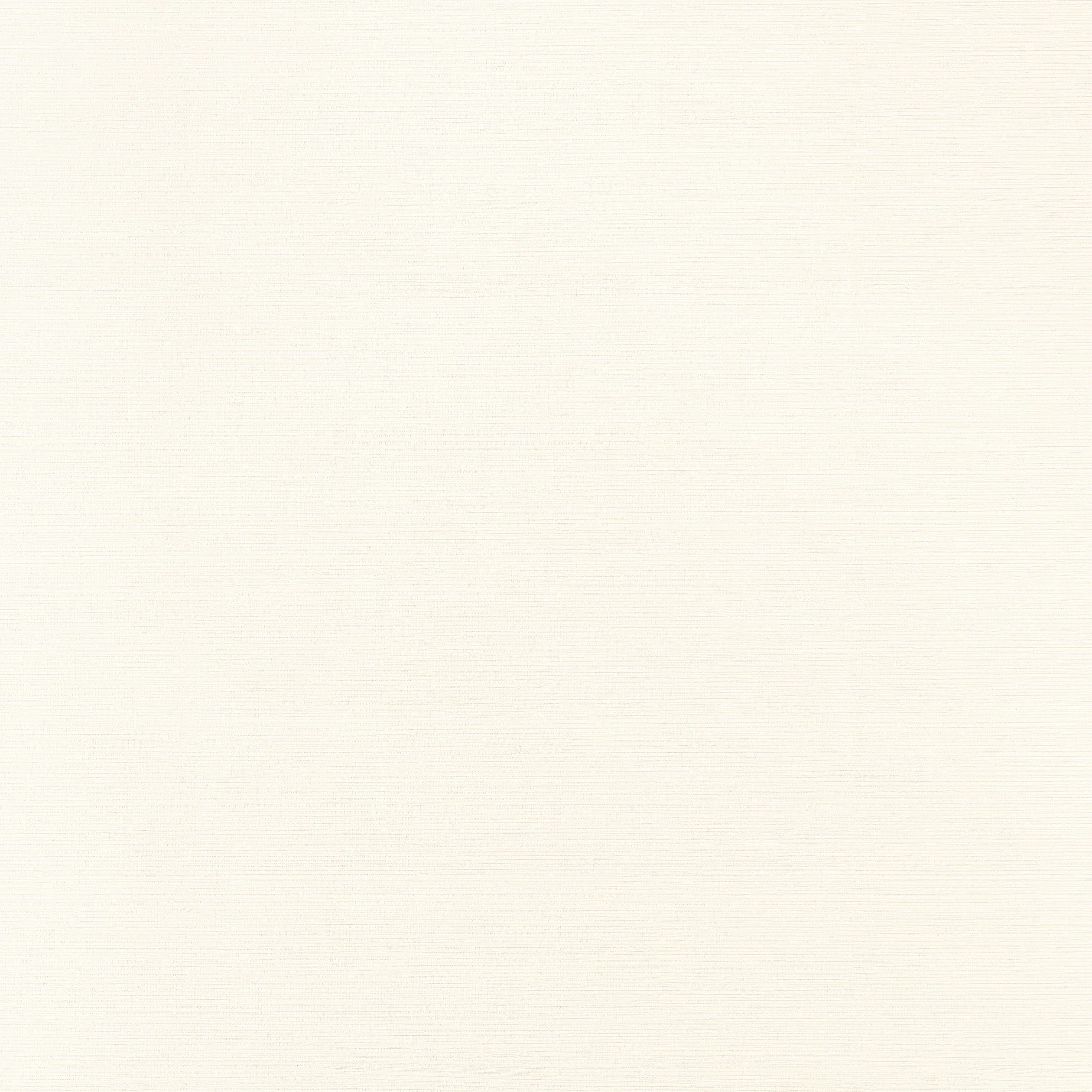 TWW34042 | Taluk Sisal Wide Width – Cream