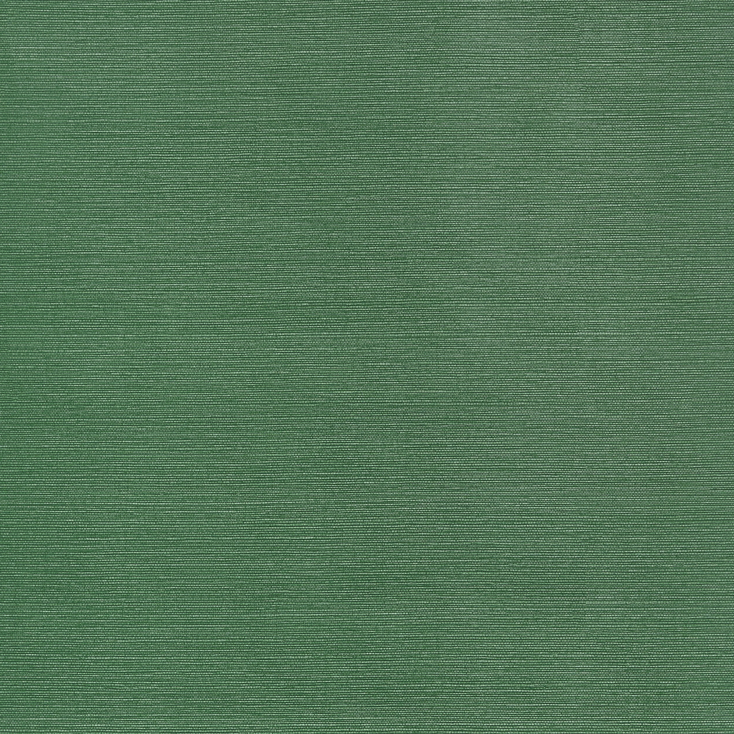 TWW34039 | Taluk Sisal Wide Width – Forest Green
