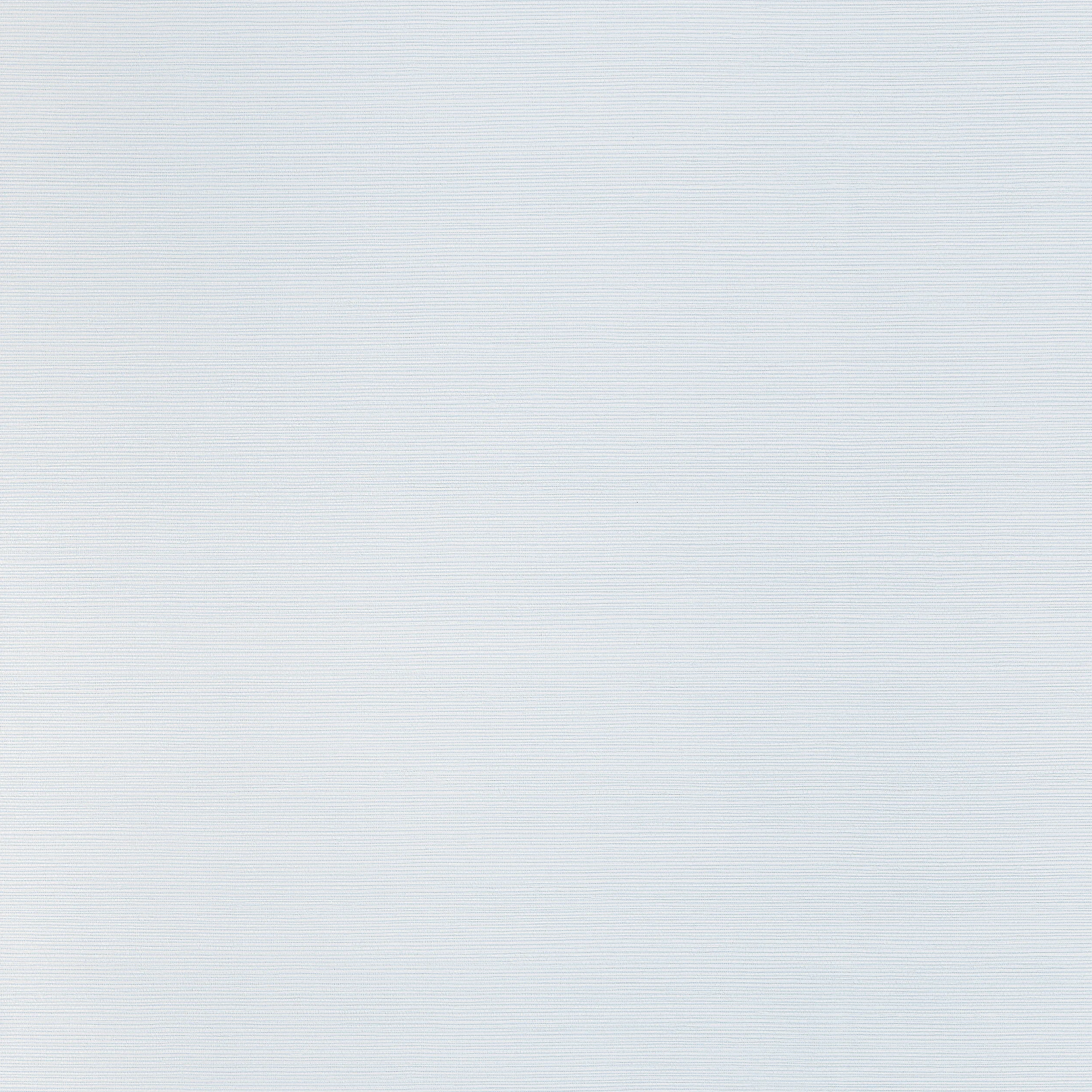 TWW34037 | Taluk Sisal Wide Width – Light Blue