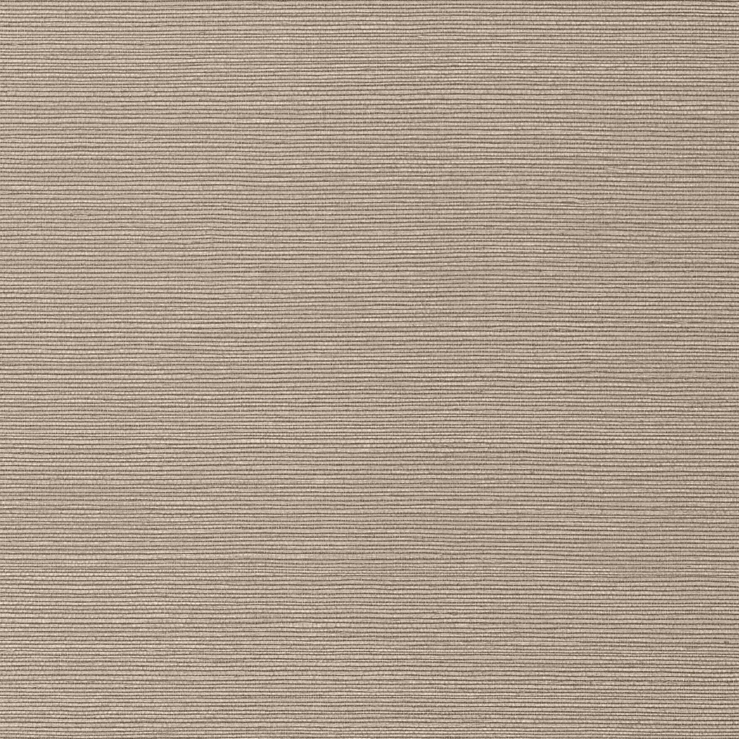 TWW75147 | Taluk Sisal Wide Width – Mushroom