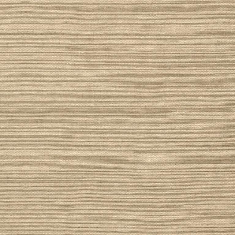Thibaut Taluk Sisal Wide Width in Sand (TWW75148)