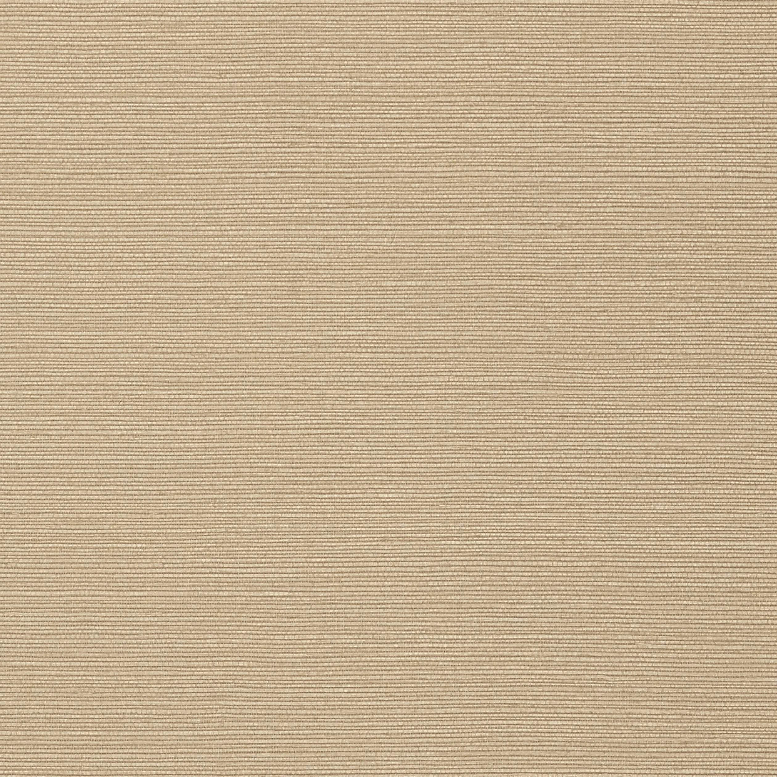 TWW75148 | Taluk Sisal Wide Width – Sand
