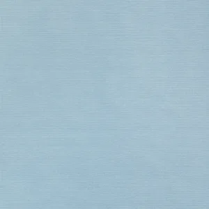 Thibaut Taluk Sisal Wide Width in Seamist (TWW34040)