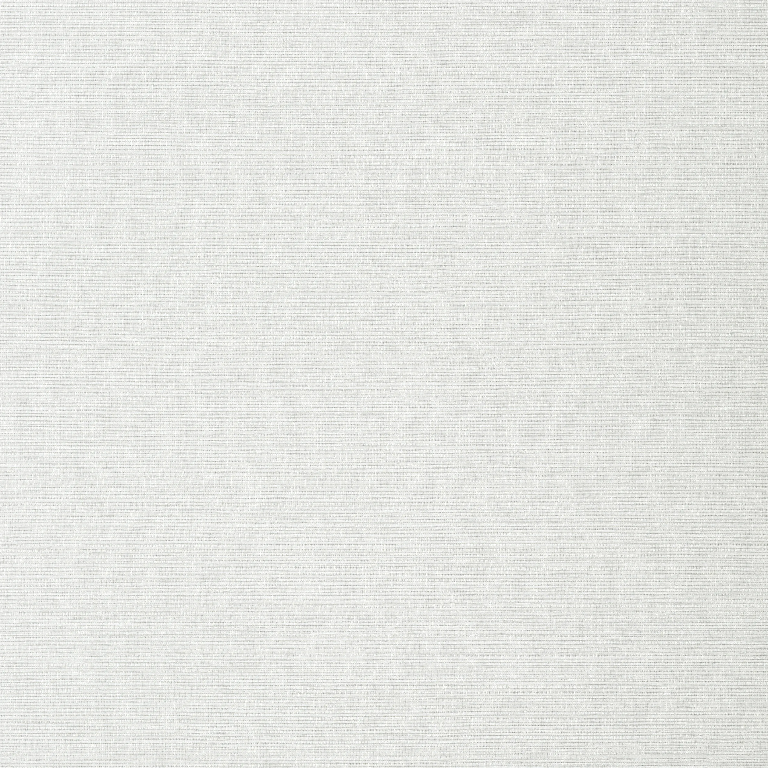 TWW282 | Taluk Sisal Wide Width – Snow