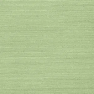 Thibaut Taluk Sisal Wide Width in Spring (TWW287)