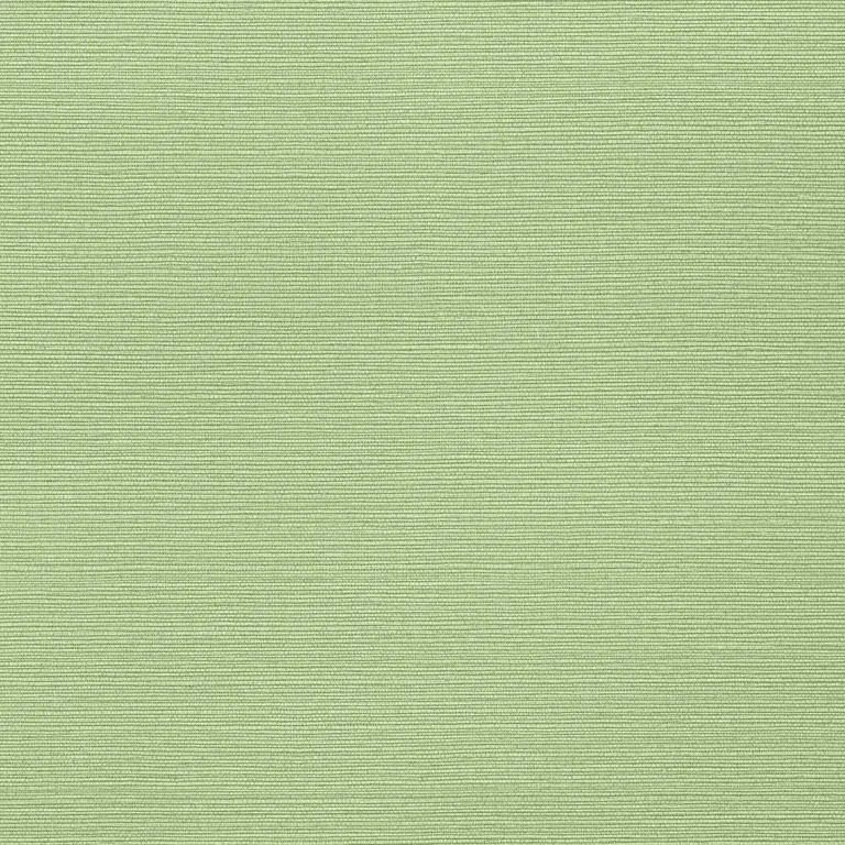 Thibaut Taluk Sisal Wide Width in Spring (TWW287)