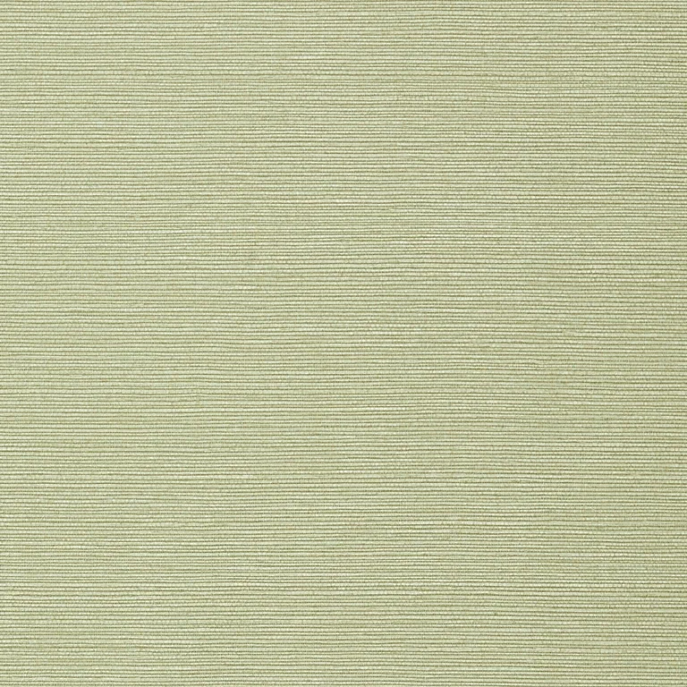 Thibaut Taluk Sisal Wide Width in Willow (TWW75153)