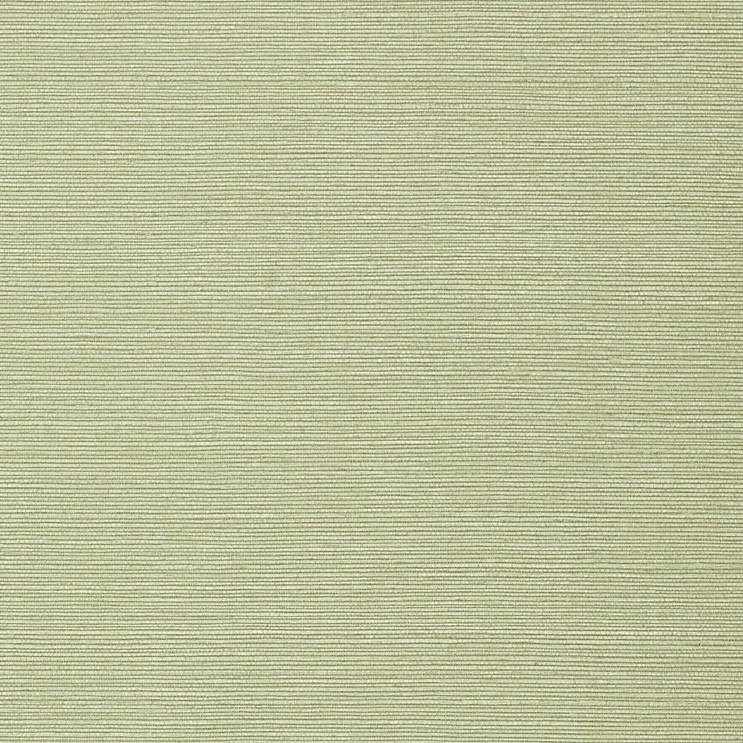 TWW75153 | Taluk Sisal Wide Width – Willow