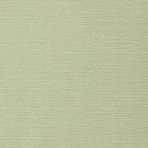 Thibaut Taluk Sisal in Willow (T75153)
