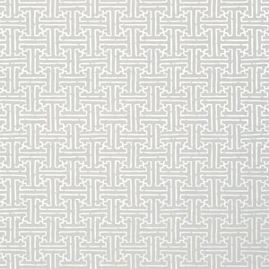 Thibaut Taza in Metallic Silver on Grey (T35166)