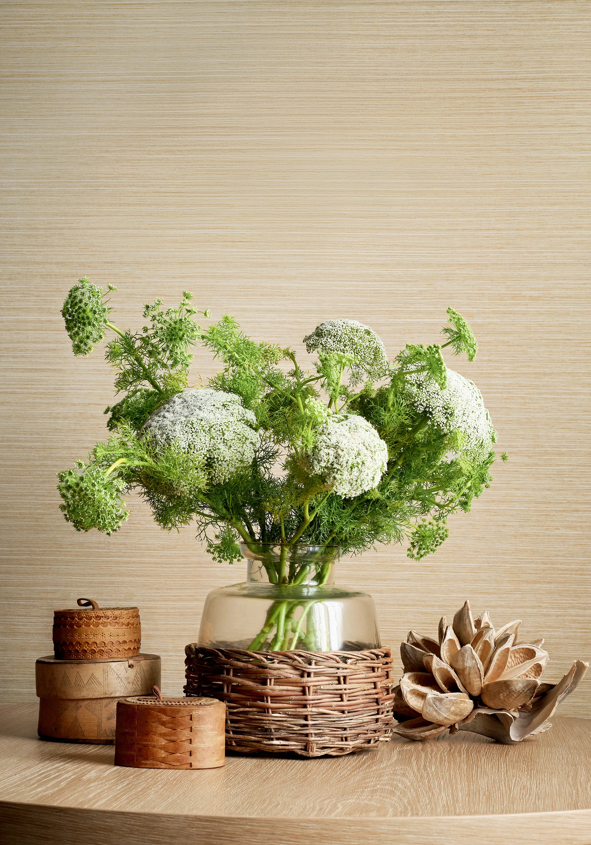 Thibaut Tenaya in Beige (T34072)