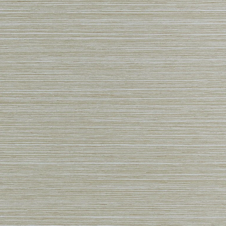 Thibaut Tenaya in Fog (T34068)