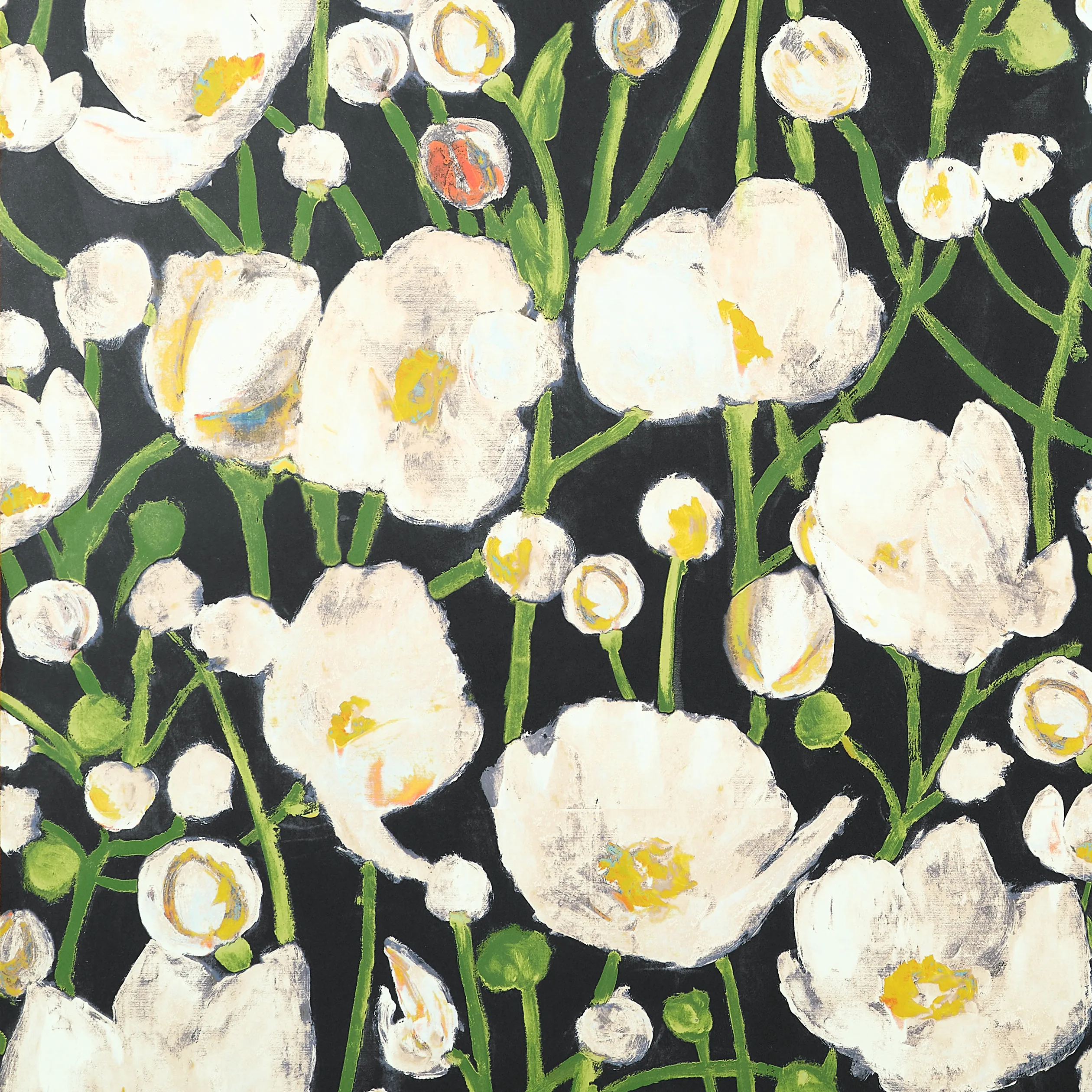 Thibaut Tivoli in Black (T45014)