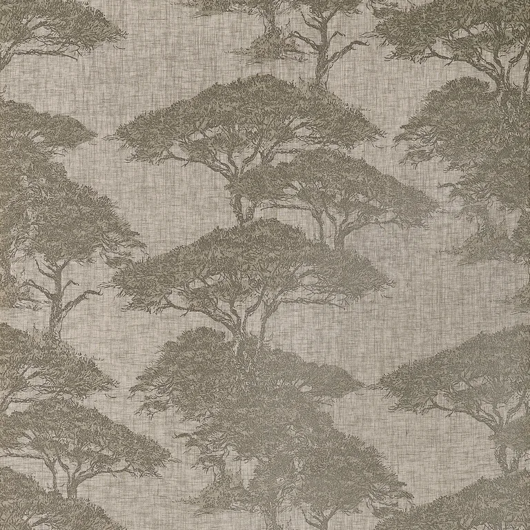 Thibaut Torrey Pines in Beige and Black (T24435)