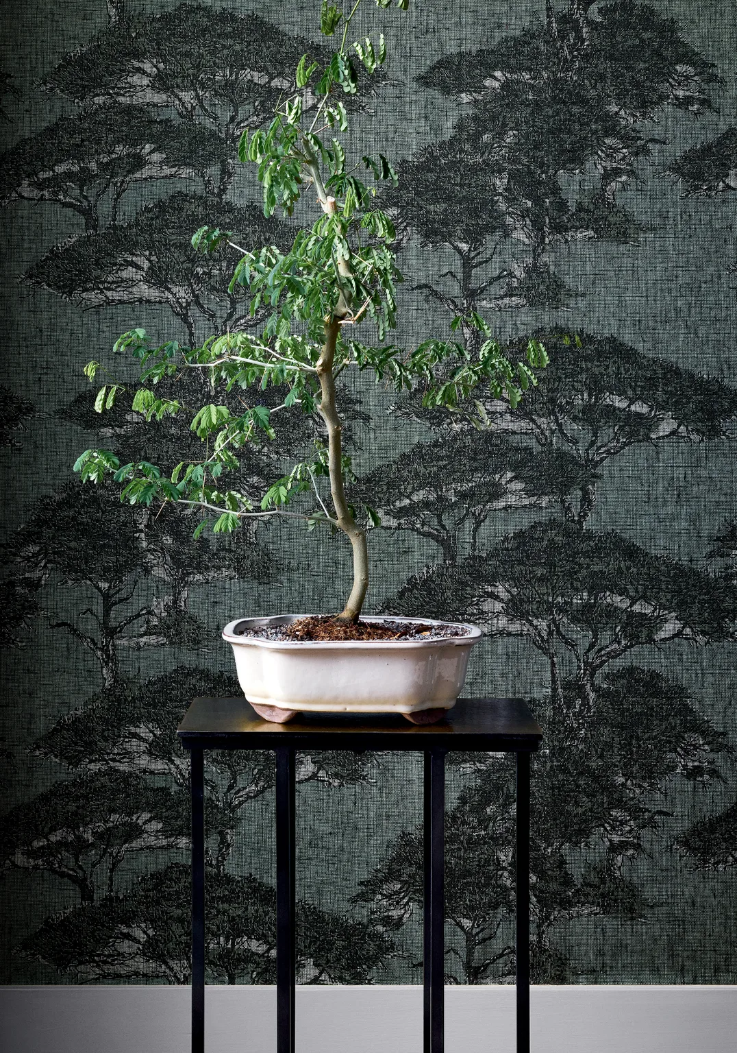 Thibaut Torrey Pines in Mineral (T24434)