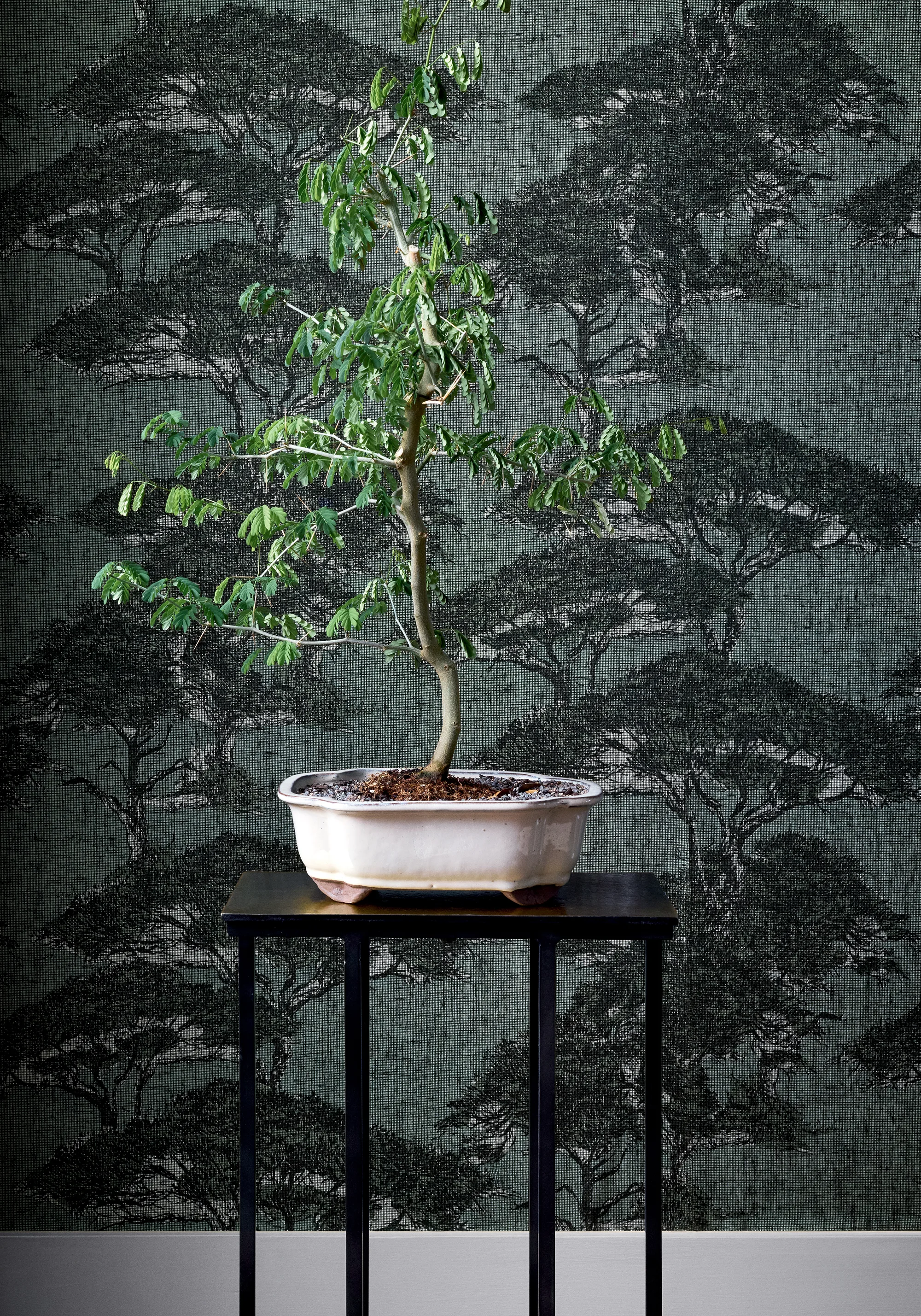 Thibaut Torrey Pines in Mineral (T24434)