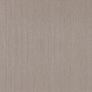 Armani Towada & Niagara Fil Plain in Taupe (9371)