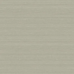 Armani Trocadero in Taupe (9251)