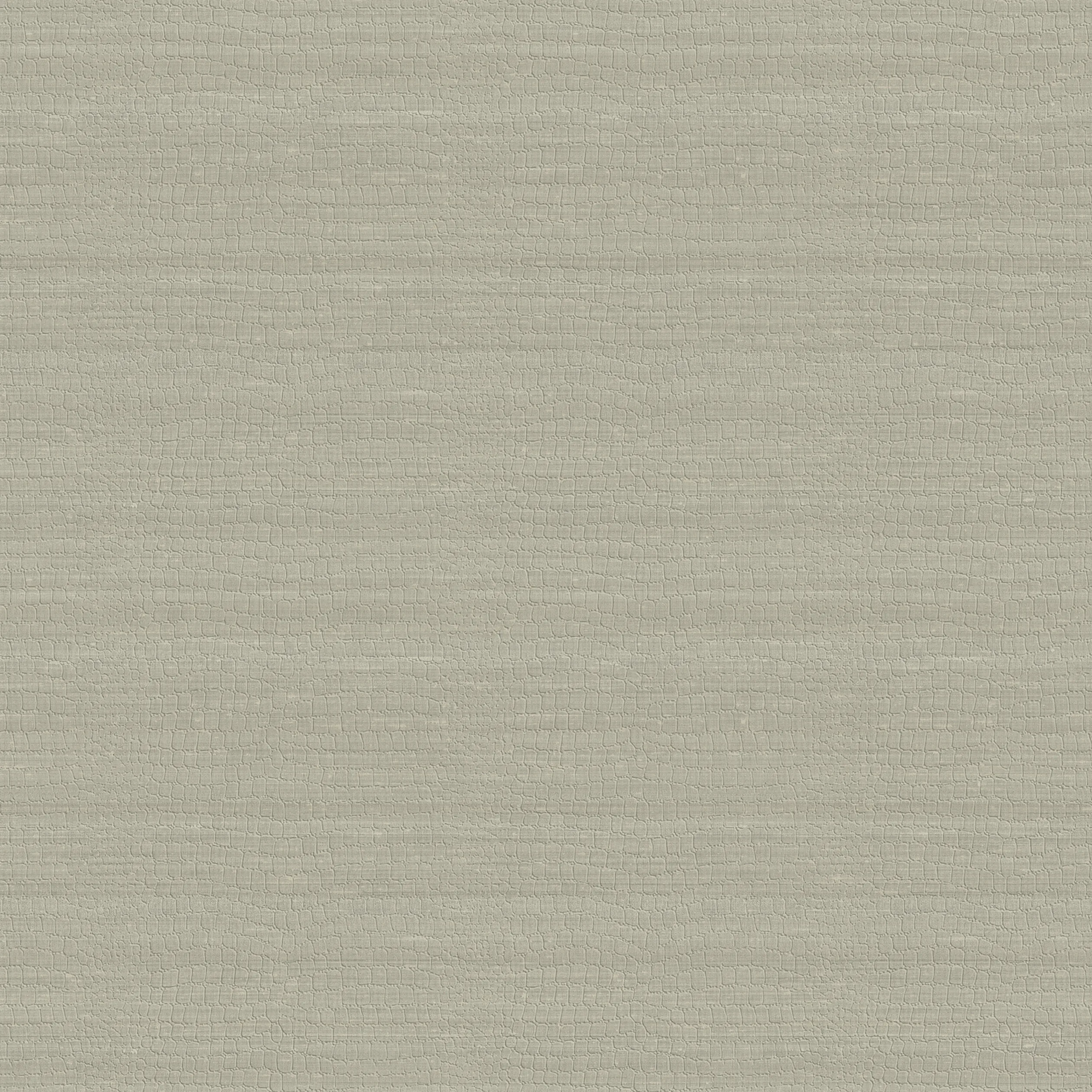 Armani Trocadero in Taupe (9251)