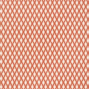 Thibaut Troy in Coral (T24324)