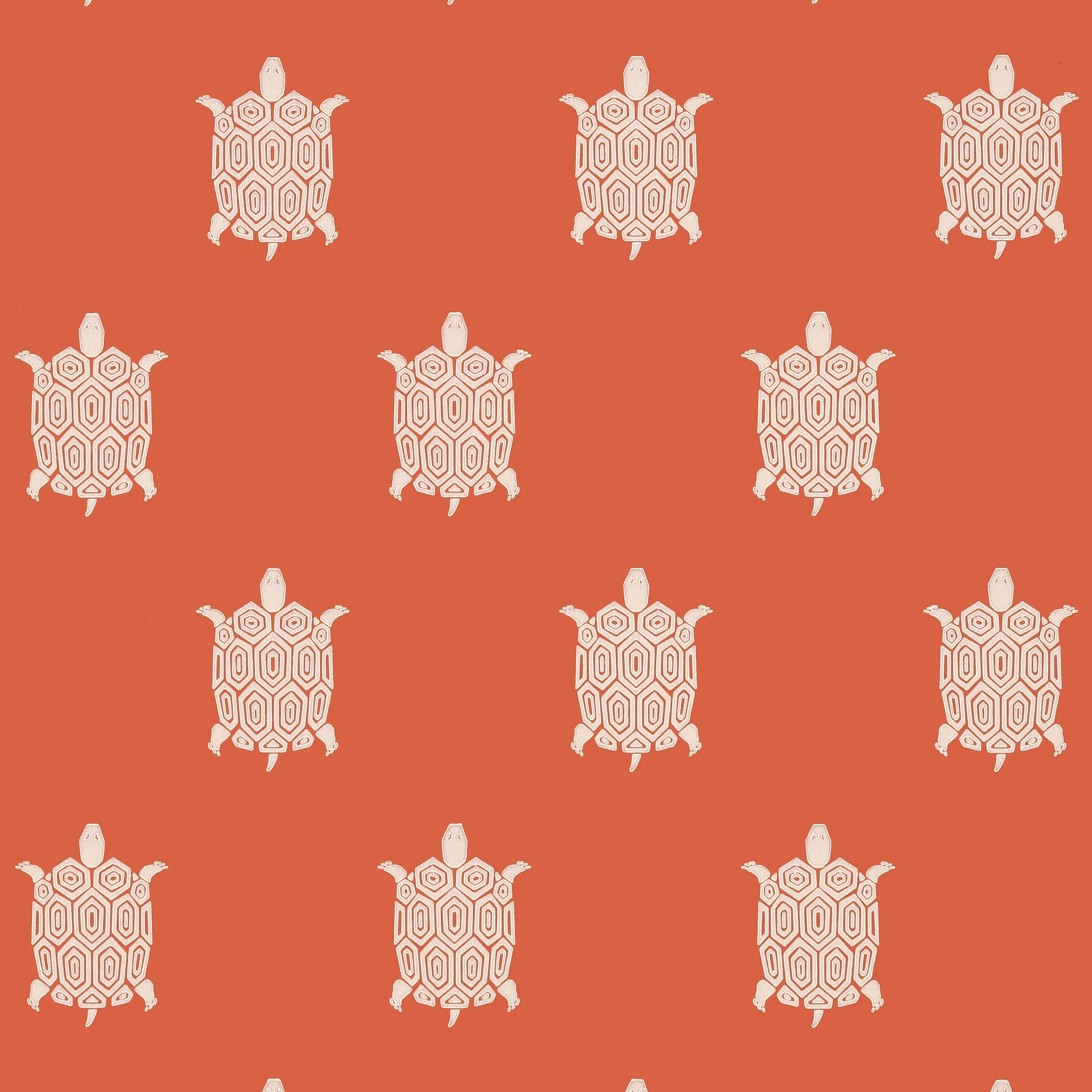 T5769 | Turtle Bay – Coral