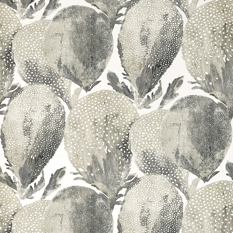 Thibaut Under the Sea in Black and White (T15826)