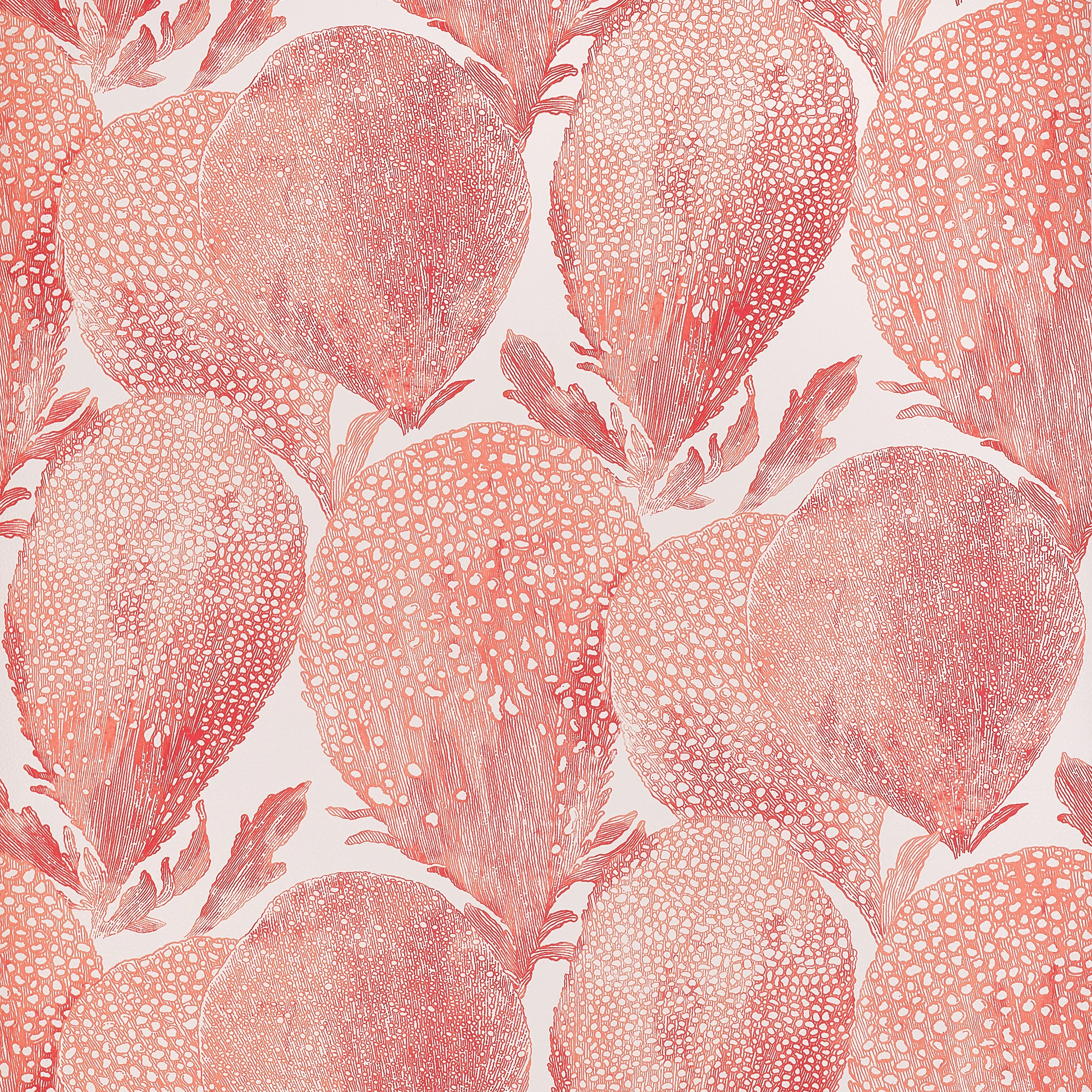 Thibaut Under the Sea in Coral (T15825)