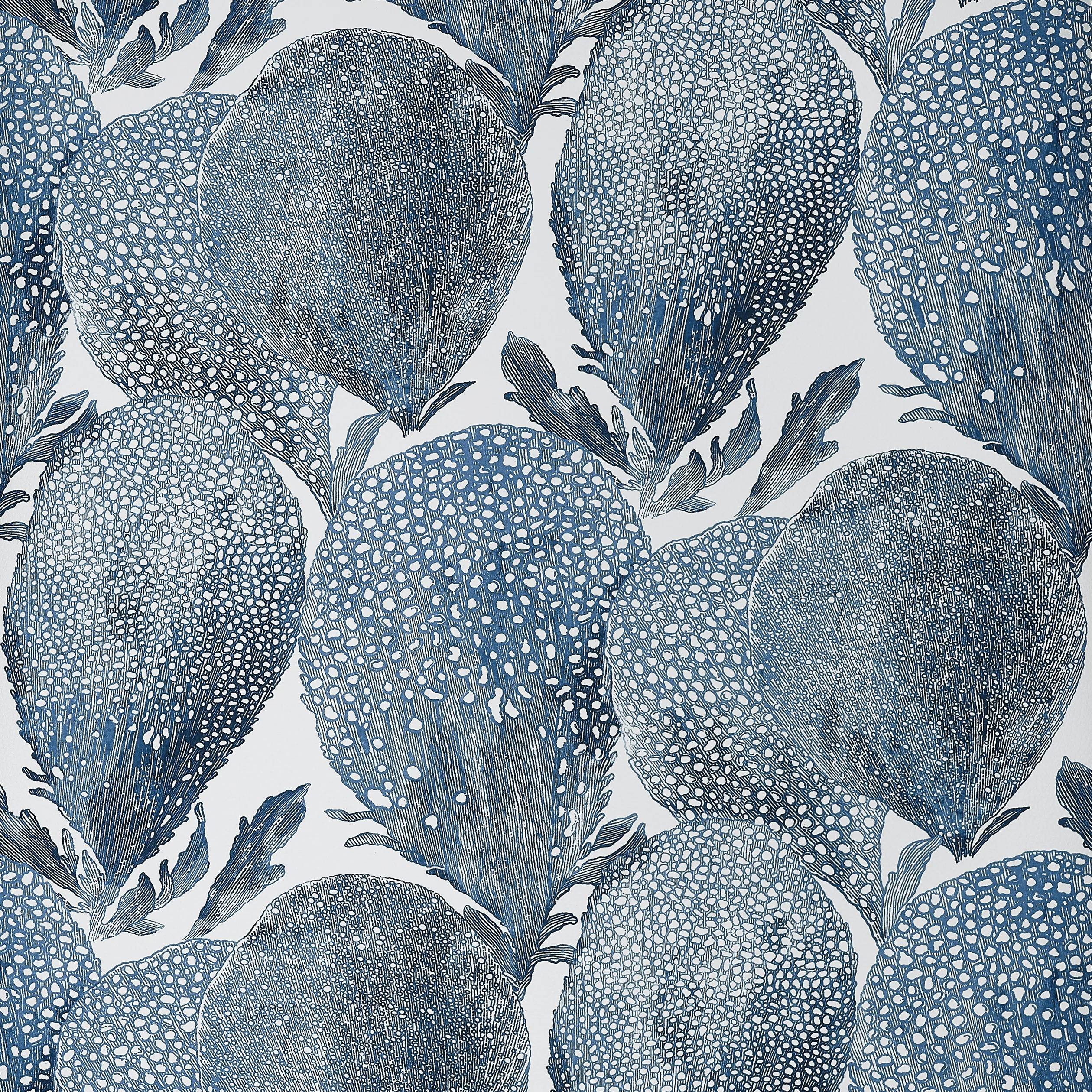 T15824 | Under the Sea – Navy