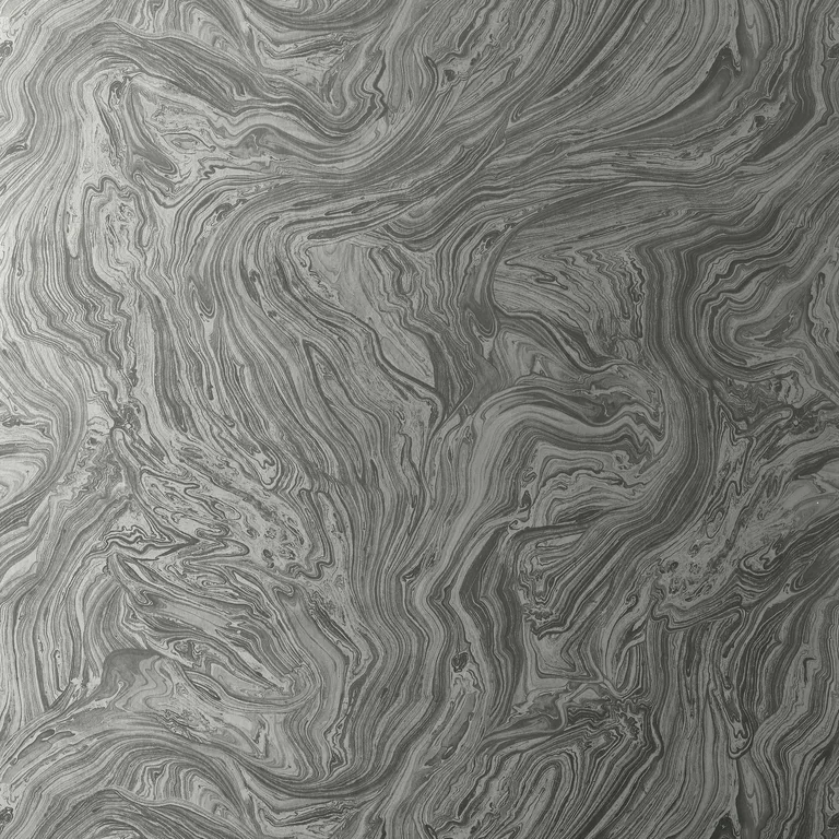 Thibaut Venus in Metallic Silver (T85071)