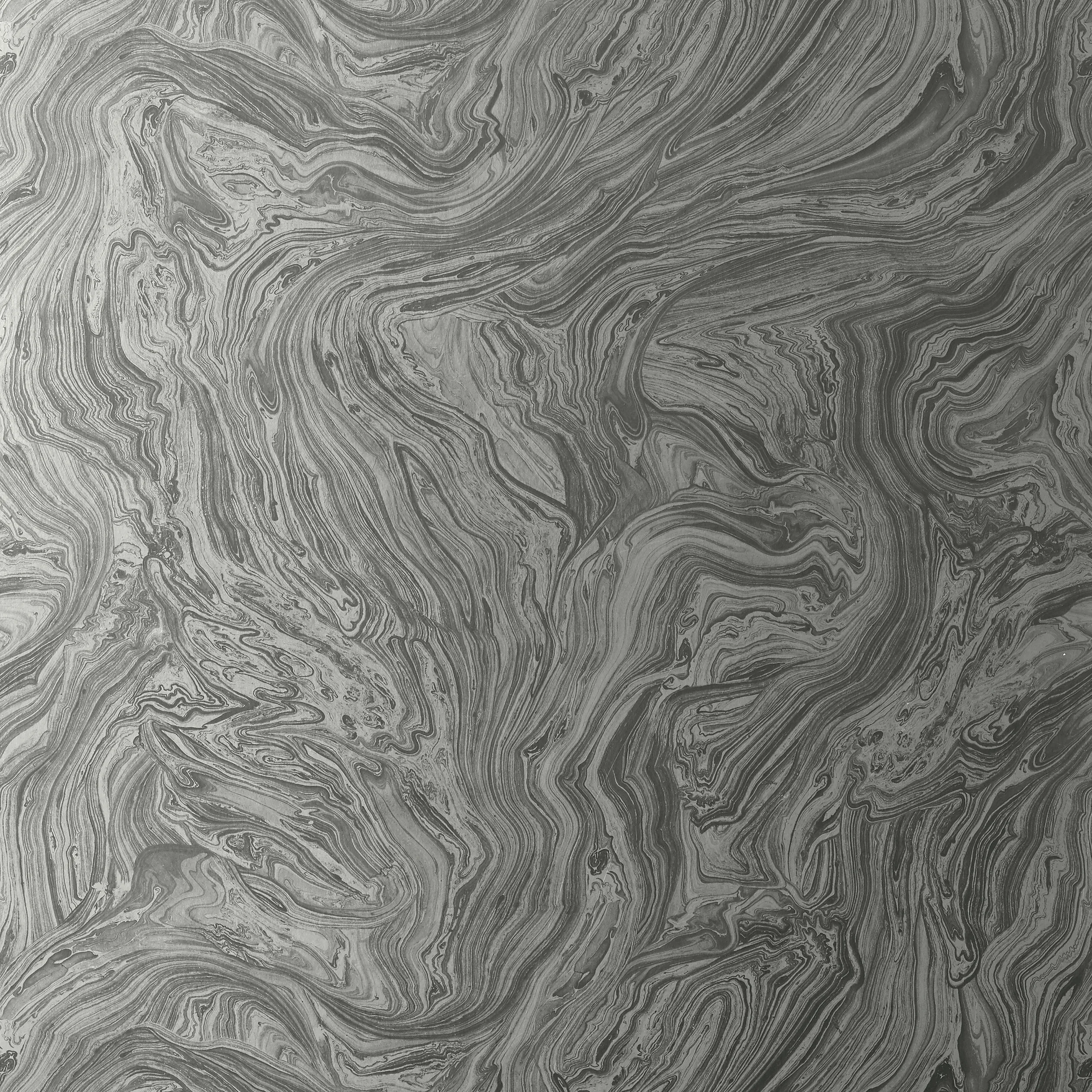 Thibaut Venus in Metallic Silver (T85071)