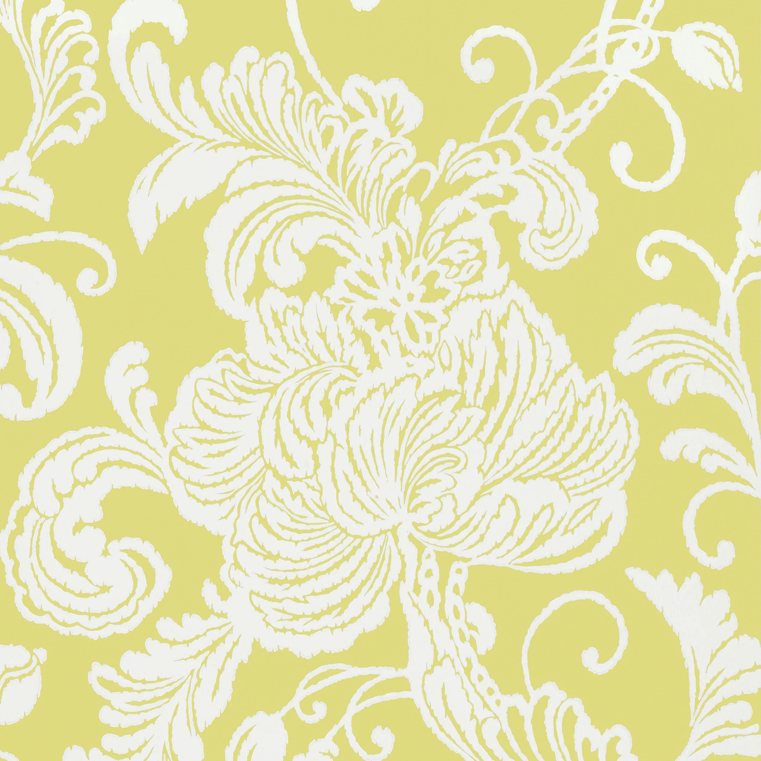 Anna French Verey in Citron (AT6009)
