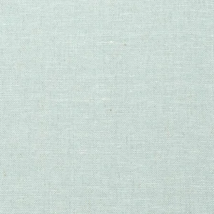 Thibaut Villa Garden Texture in Robin's Egg (T10852)