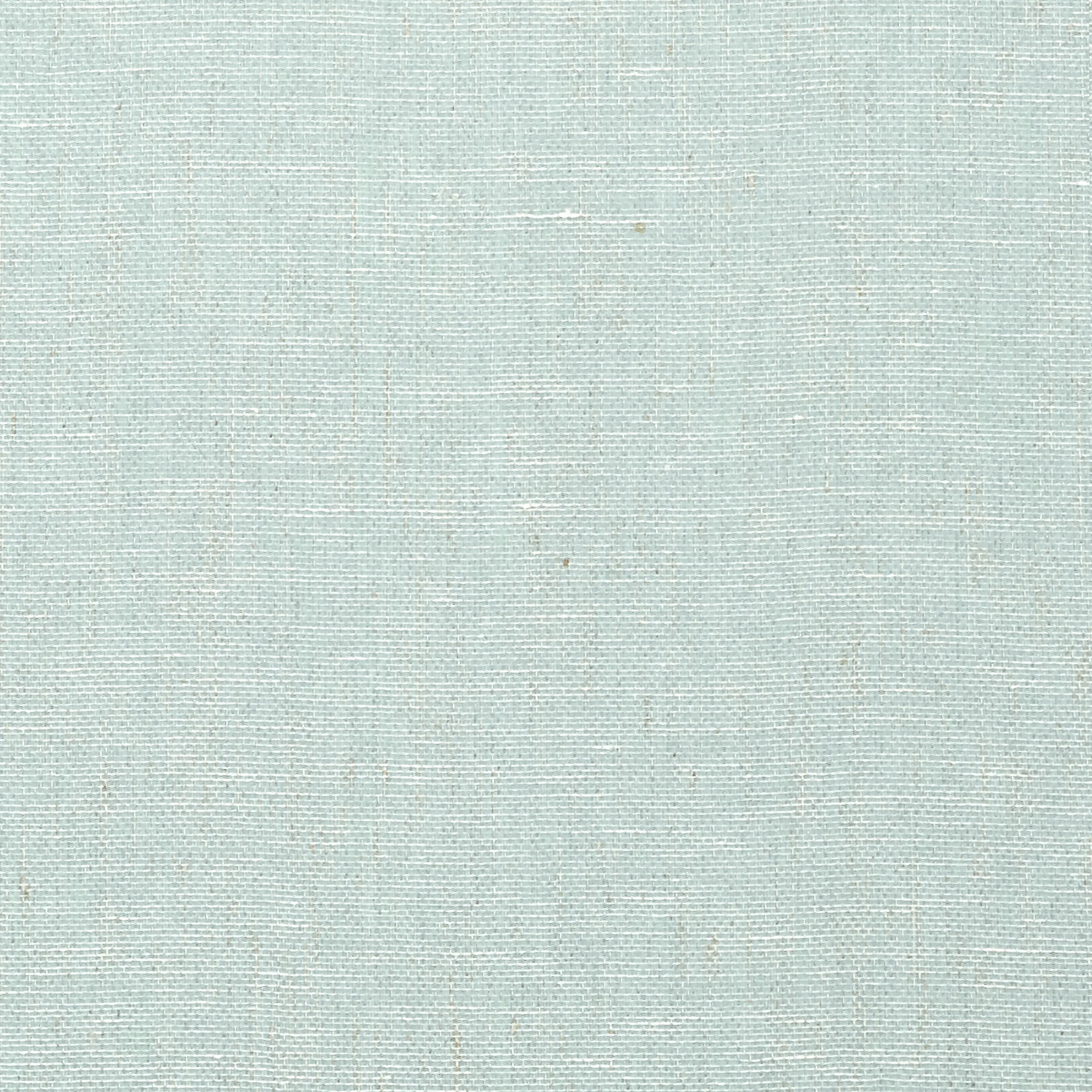 T10852 | Villa Garden Texture – Robin’s Egg