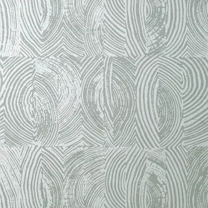 Thibaut Volar in Metallic Silver on Smoke (T413)